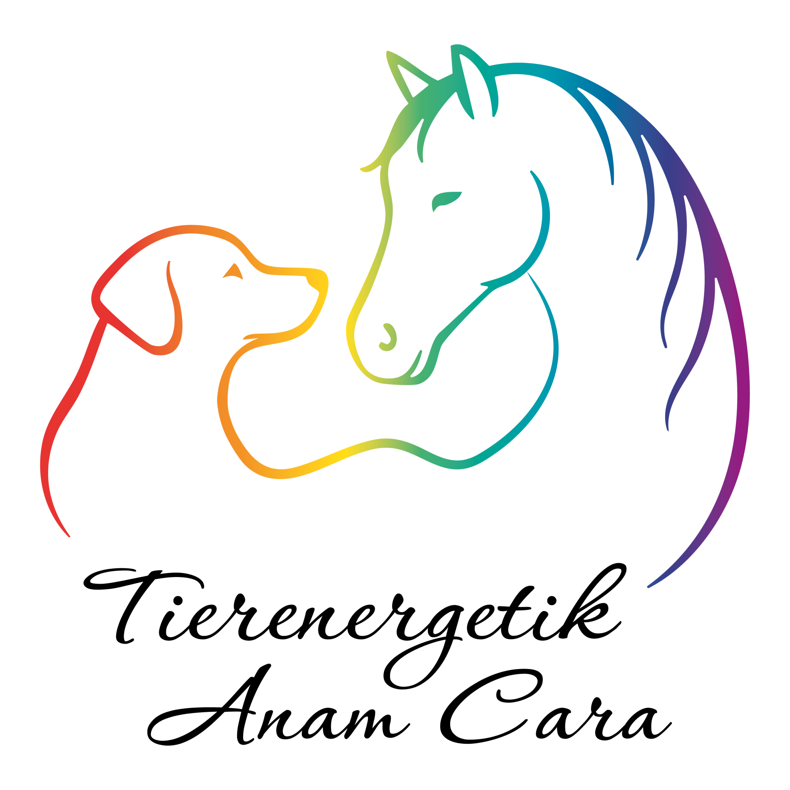 Tierenergetik Anam Cara